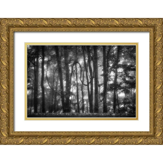 Poinski, Dianne 14x11 Gold Ornate Wood Framed with Double Matting Museum Art Print Titled - Into the Woods 2 BW