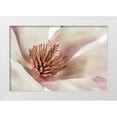 thumbnail image 1 of Poinski, Dianne 14x11 White Modern Wood Framed Museum Art Print Titled - Pink Magnolia 3, 1 of 4