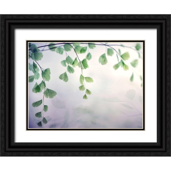 Poinski, Dianne 14x12 Black Ornate Wood Framed with Double Matting Museum Art Print Titled - Fallen 1