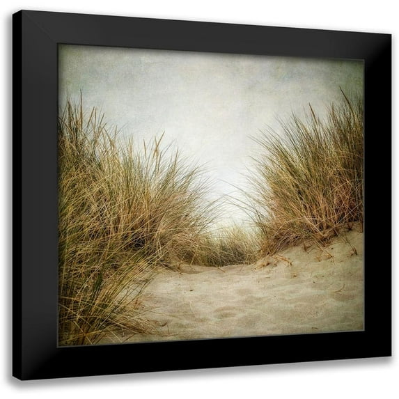 Poinski, Dianne 15x15 Black Modern Framed Museum Art Print Titled - Beach Grasses 2