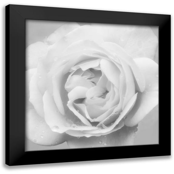 Poinski, Dianne 15x15 Black Modern Framed Museum Art Print Titled - Beautiful Dreams 4