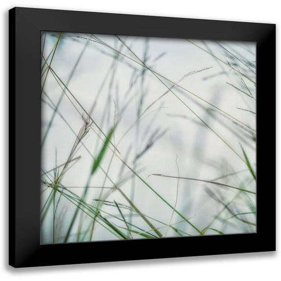 Poinski, Dianne 15x15 Black Modern Framed Museum Art Print Titled - Bluff Grass II