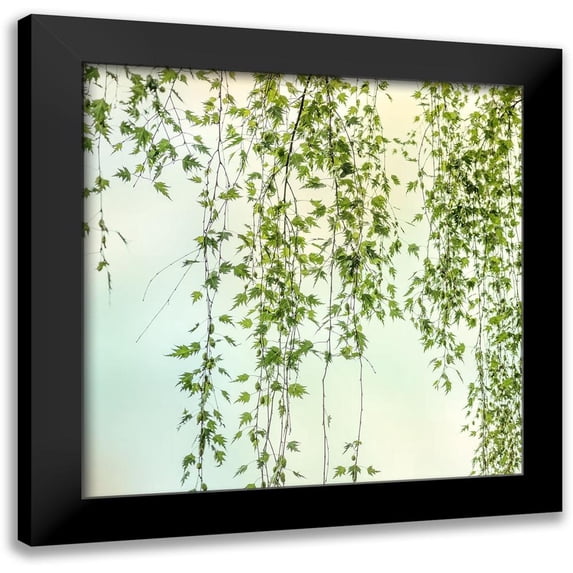 Poinski, Dianne 15x15 Black Modern Framed Museum Art Print Titled - Whisper 2