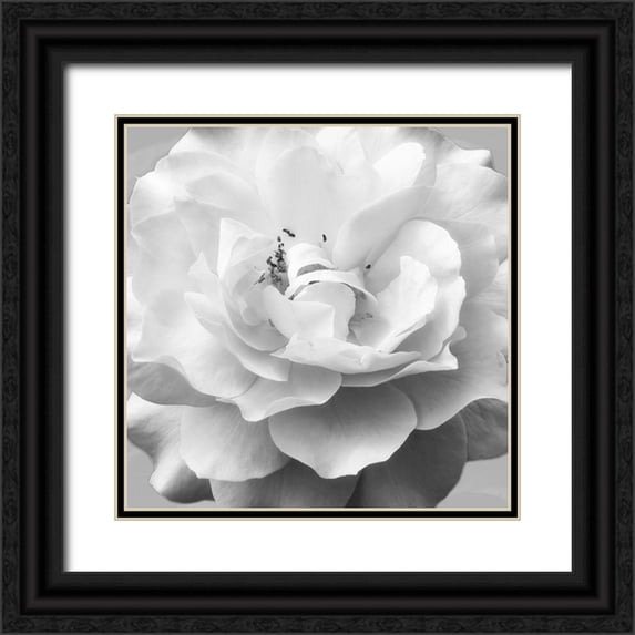 Poinski, Dianne 15x15 Black Ornate Wood Framed with Double Matting Museum Art Print Titled - Beautiful Dreams 1