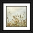 thumbnail image 1 of Poinski, Dianne 15x15 Black Ornate Wood Framed with Double Matting Museum Art Print Titled - Bluff Grass I, 1 of 4