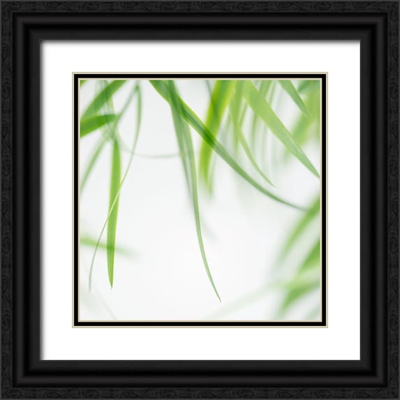 Poinski, Dianne 15x15 Black Ornate Wood Framed with Double Matting Museum Art Print Titled - Green Leaves 1