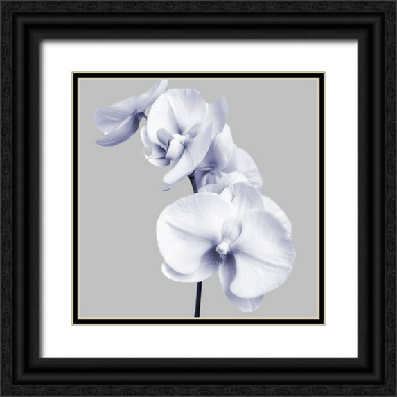 Poinski, Dianne 15x15 Black Ornate Wood Framed with Double Matting Museum Art Print Titled - Lilac Orchids 3