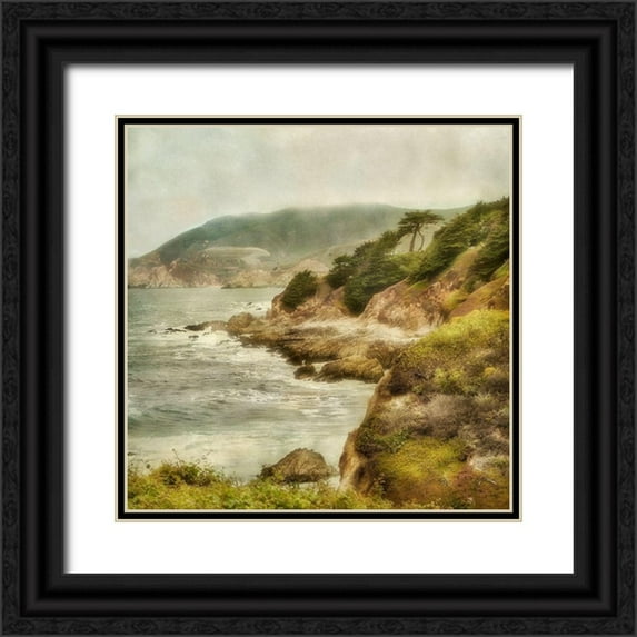 Poinski, Dianne 15x15 Black Ornate Wood Framed with Double Matting Museum Art Print Titled - Point Montra II