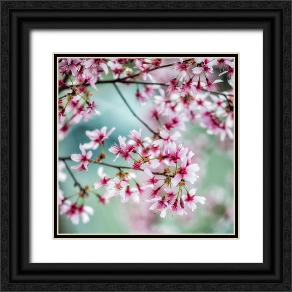 Poinski, Dianne 15x15 Black Ornate Wood Framed with Double Matting Museum Art Print Titled - Spring Is In The Air I