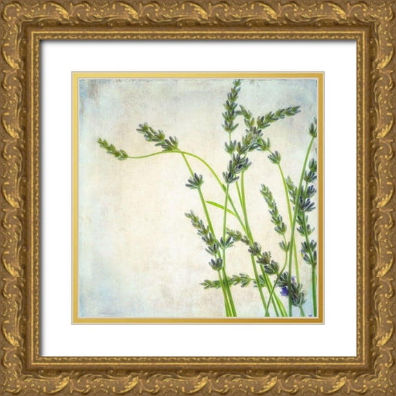 Poinski, Dianne 15x15 Gold Ornate Wood Framed with Double Matting Museum Art Print Titled - Lavender 2