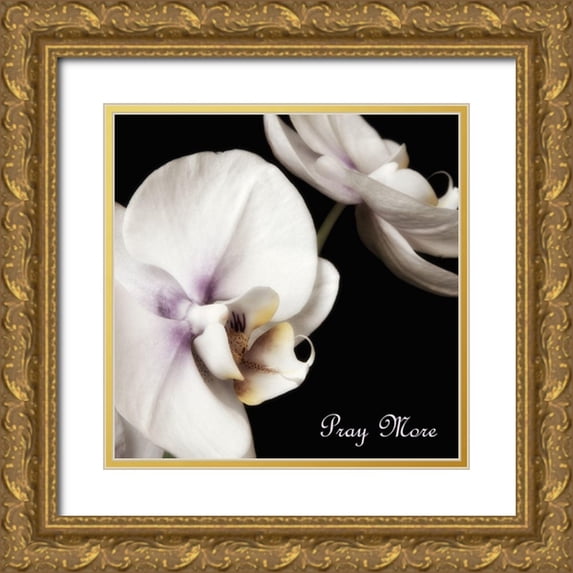 Poinski, Dianne 15x15 Gold Ornate Wood Framed with Double Matting Museum Art Print Titled - Pray Orchids