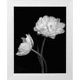 thumbnail image 1 of Poinski, Dianne 15x18 White Modern Wood Framed Museum Art Print Titled - Black and White Roses 4, 1 of 4