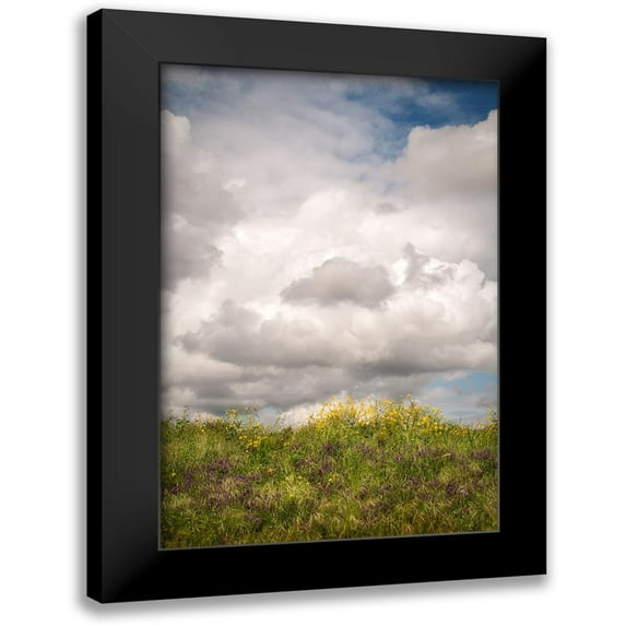 Poinski, Dianne 17x24 Black Modern Framed Museum Art Print Titled - Blue Sky Vista 2