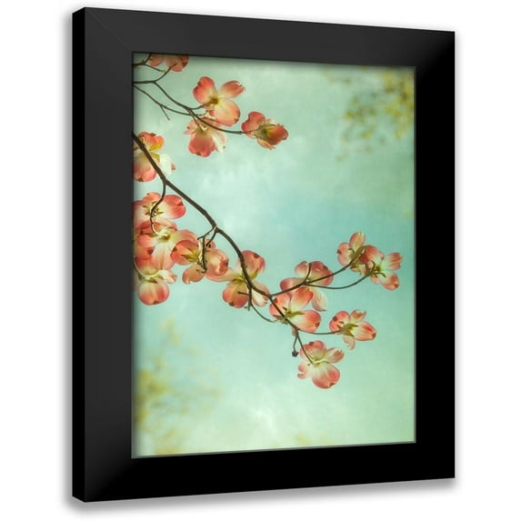Poinski, Dianne 17x24 Black Modern Framed Museum Art Print Titled - Pink Petals 1