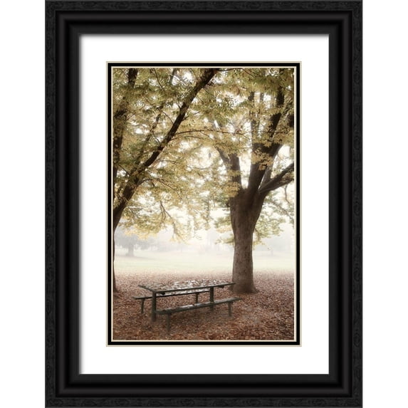 Poinski, Dianne 17x24 Black Ornate Wood Framed with Double Matting Museum Art Print Titled - Park 4