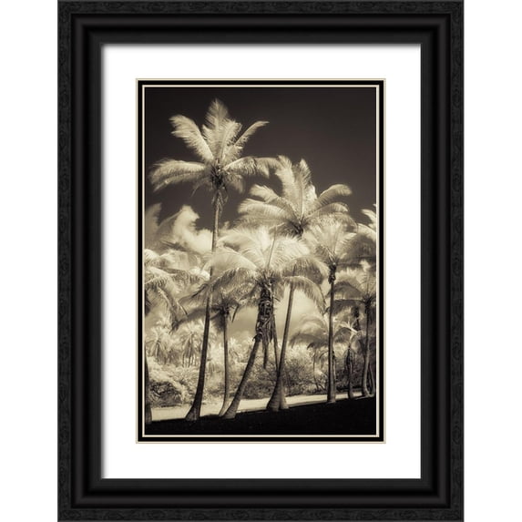 Poinski, Dianne 17x24 Black Ornate Wood Framed with Double Matting Museum Art Print Titled - White Palms 2