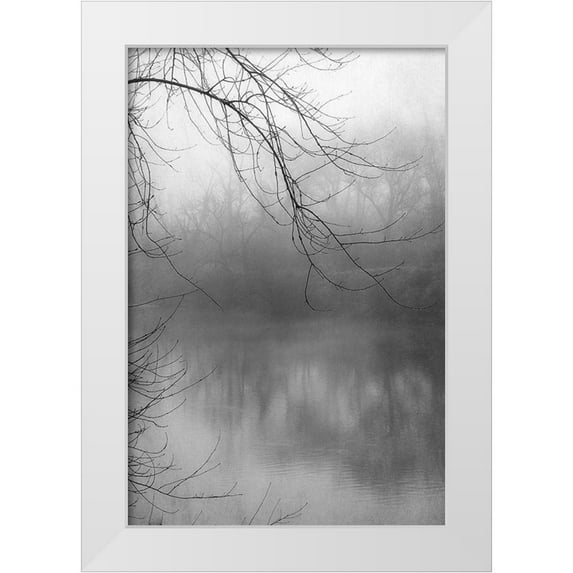 Poinski, Dianne 17x24 White Modern Wood Framed Museum Art Print Titled - Misty Pond 1 BW