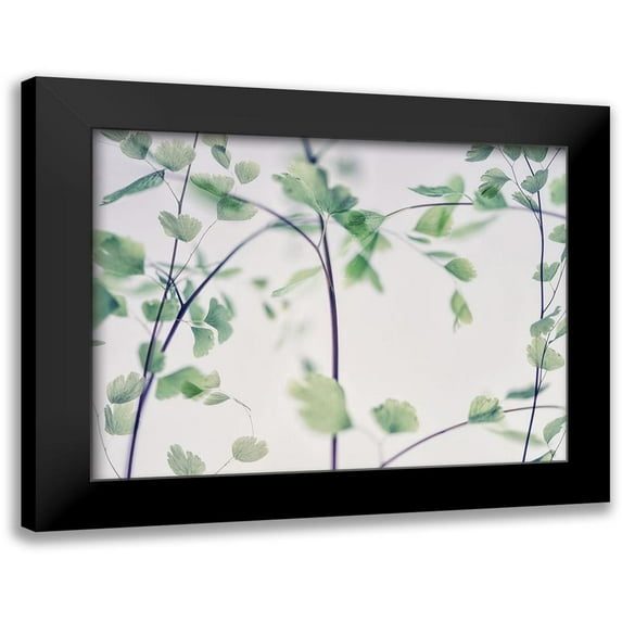Poinski, Dianne 18x15 Black Modern Framed Museum Art Print Titled - Fallen 2