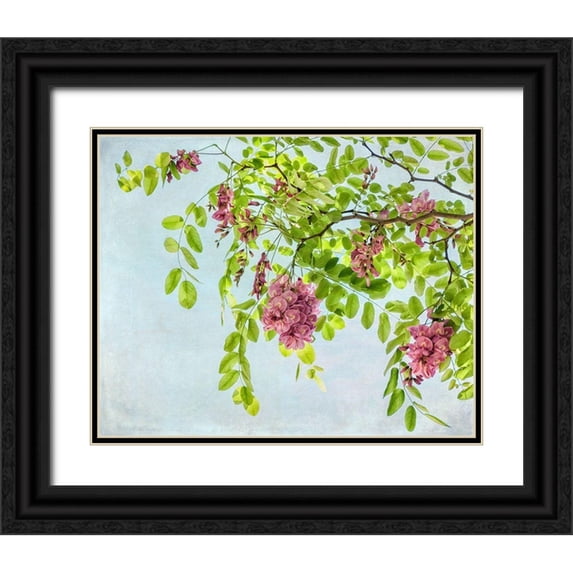 Poinski, Dianne 18x15 Black Ornate Wood Framed with Double Matting Museum Art Print Titled - Looking up