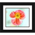 thumbnail image 1 of Poinski, Dianne 18x15 Black Ornate Wood Framed with Double Matting Museum Art Print Titled - Pink Poppy 2, 1 of 4