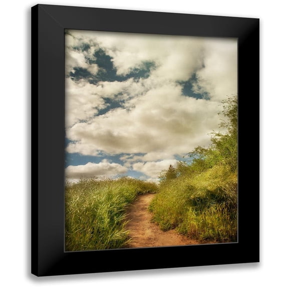 Poinski, Dianne 19x24 Black Modern Framed Museum Art Print Titled - River Park