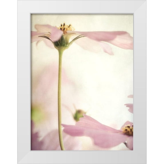 Poinski, Dianne 19x24 White Modern Wood Framed Museum Art Print Titled - Petite Blush 4