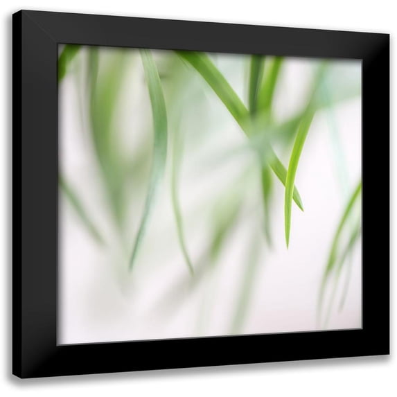 Poinski, Dianne 20x20 Black Modern Framed Museum Art Print Titled - Green Leaves 2