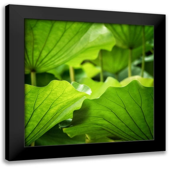 Poinski, Dianne 20x20 Black Modern Framed Museum Art Print Titled - Vivid Green 1