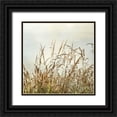 thumbnail image 1 of Poinski, Dianne 20x20 Black Ornate Wood Framed with Double Matting Museum Art Print Titled - Bluff Grass II, 1 of 4