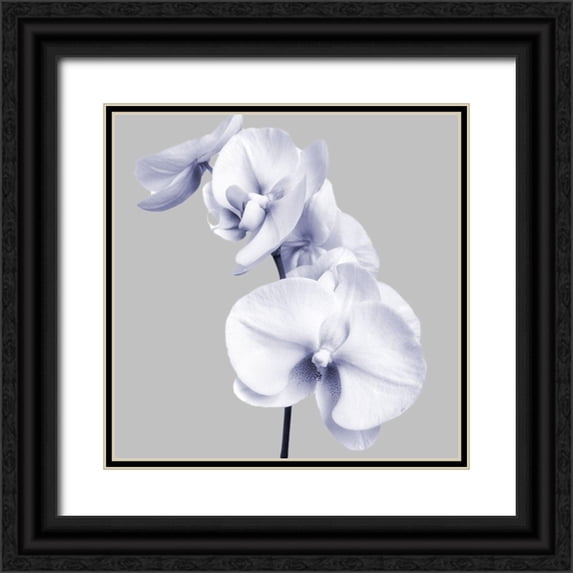 Poinski, Dianne 20x20 Black Ornate Wood Framed with Double Matting Museum Art Print Titled - Lilac Orchids 3