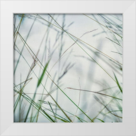 Poinski, Dianne 20x20 White Modern Wood Framed Museum Art Print Titled - Bluff Grass II