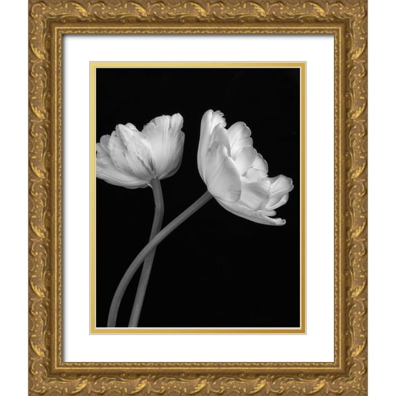 Poinski, Dianne 20x24 Gold Ornate Wood Framed with Double Matting Museum Art Print Titled - Black and White Roses 3