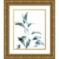 thumbnail image 1 of Poinski, Dianne 20x24 Gold Ornate Wood Framed with Double Matting Museum Art Print Titled - Gentle Botanical 1, 1 of 4