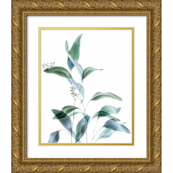 Poinski, Dianne 20x24 Gold Ornate Wood Framed with Double Matting Museum Art Print Titled - Gentle Botanical 1