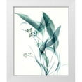 thumbnail image 1 of Poinski, Dianne 20x24 White Modern Wood Framed Museum Art Print Titled - Gentle Botanical 4, 1 of 4