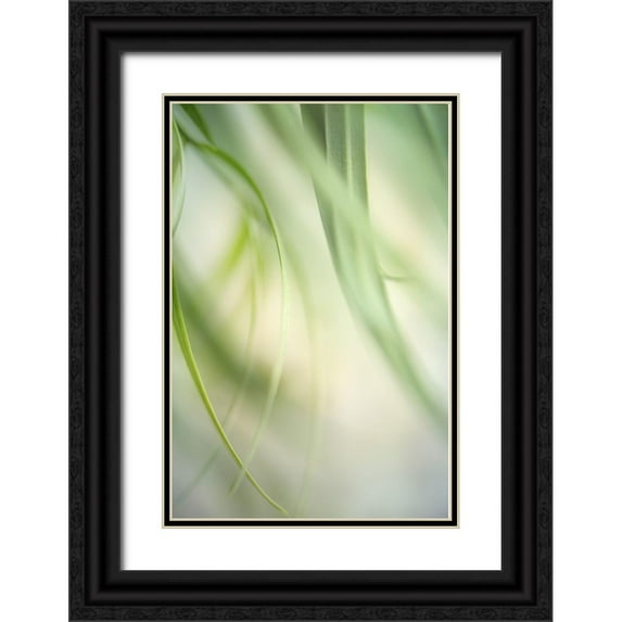Poinski, Dianne 23x32 Black Ornate Wood Framed with Double Matting Museum Art Print Titled - Harmonic I