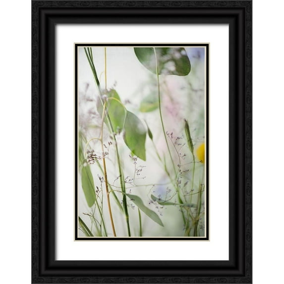 Poinski, Dianne 23x32 Black Ornate Wood Framed with Double Matting Museum Art Print Titled - Soft Leaves 2