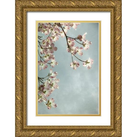 Poinski, Dianne 23x32 Gold Ornate Wood Framed with Double Matting Museum Art Print Titled - Pale Petals 4