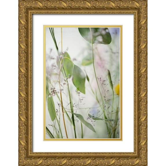 Poinski, Dianne 23x32 Gold Ornate Wood Framed with Double Matting Museum Art Print Titled - Soft Leaves 2