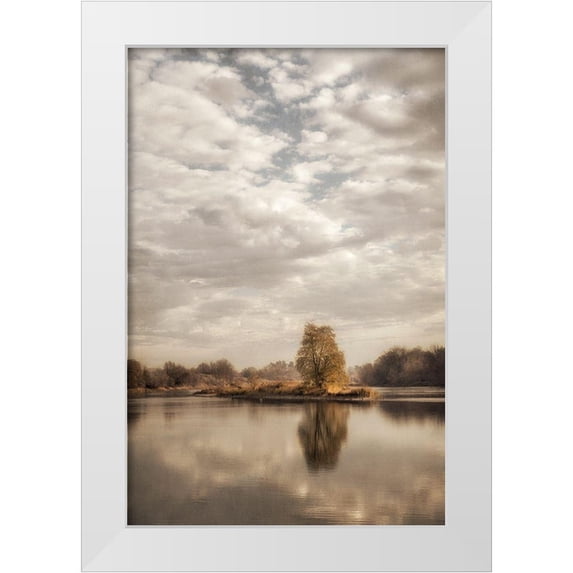 Poinski, Dianne 23x32 White Modern Wood Framed Museum Art Print Titled - Reflect 1
