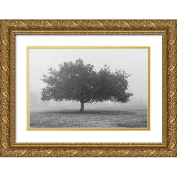 Poinski, Dianne 24x17 Gold Ornate Wood Framed with Double Matting Museum Art Print Titled - Trees in Fog BW