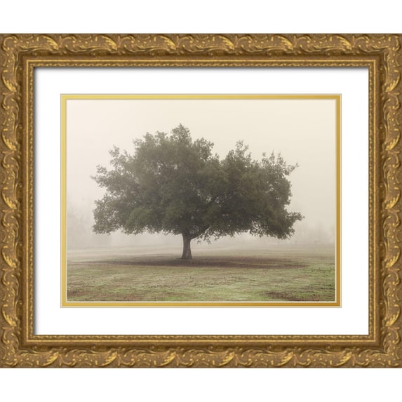 Poinski, Dianne 24x19 Gold Ornate Wood Framed with Double Matting Museum Art Print Titled - Trees in Fog 5