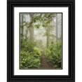 thumbnail image 1 of Poinski, Dianne 25x32 Black Ornate Wood Framed with Double Matting Museum Art Print Titled - Summer Forest I, 1 of 4