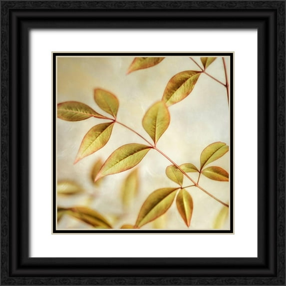 Poinski, Dianne 26x26 Black Ornate Wood Framed with Double Matting Museum Art Print Titled - Golden Leaves 2