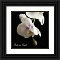 thumbnail image 1 of Poinski, Dianne 26x26 Black Ornate Wood Framed with Double Matting Museum Art Print Titled - Good Orchids, 1 of 4