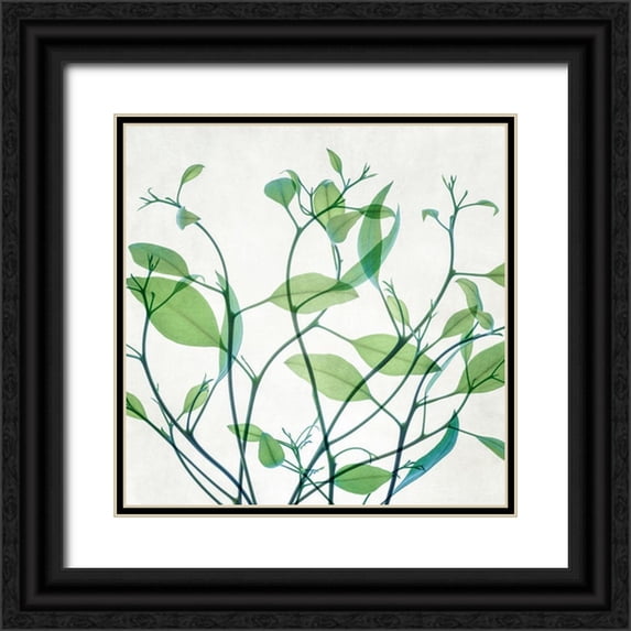 Poinski, Dianne 26x26 Black Ornate Wood Framed with Double Matting Museum Art Print Titled - Rendezvous I