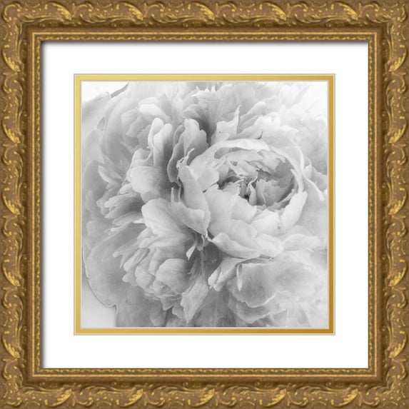 Poinski, Dianne 26x26 Gold Ornate Wood Framed with Double Matting Museum Art Print Titled - Blooming Intellect 2