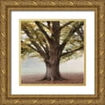 thumbnail image 1 of Poinski, Dianne 26x26 Gold Ornate Wood Framed with Double Matting Museum Art Print Titled - Oak Tree 1, 1 of 4