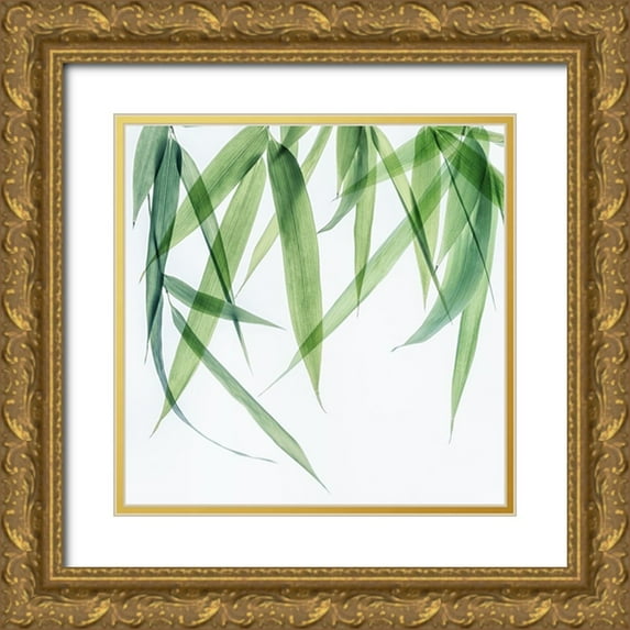 Poinski, Dianne 26x26 Gold Ornate Wood Framed with Double Matting Museum Art Print Titled - Swaying Bamboo 1
