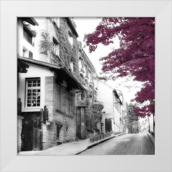 Poinski, Dianne 26x26 White Modern Wood Framed Museum Art Print Titled - Eggplant Montmartre